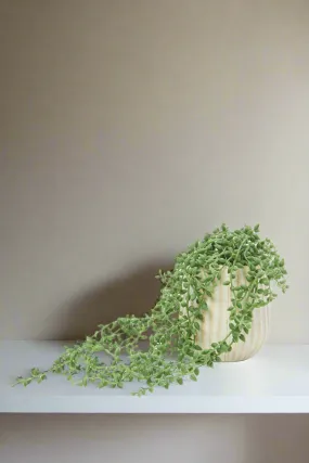 Artificial Green And White Plant In Ceramic Pot