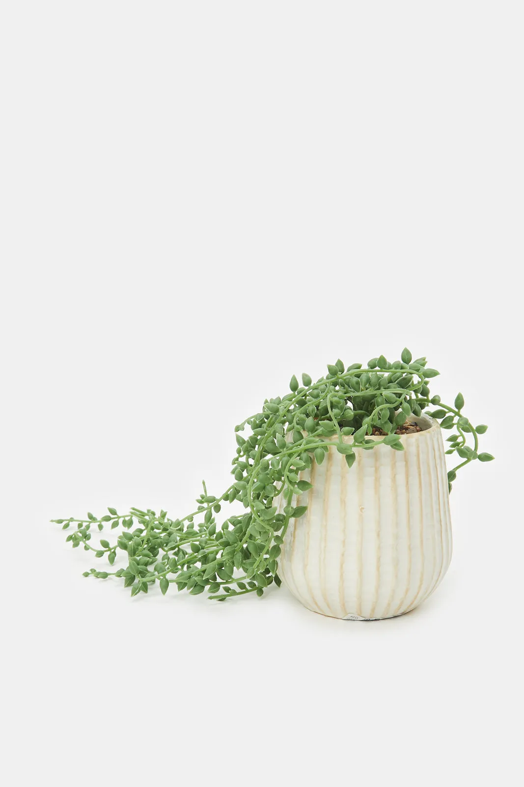 Artificial Green And White Plant In Ceramic Pot