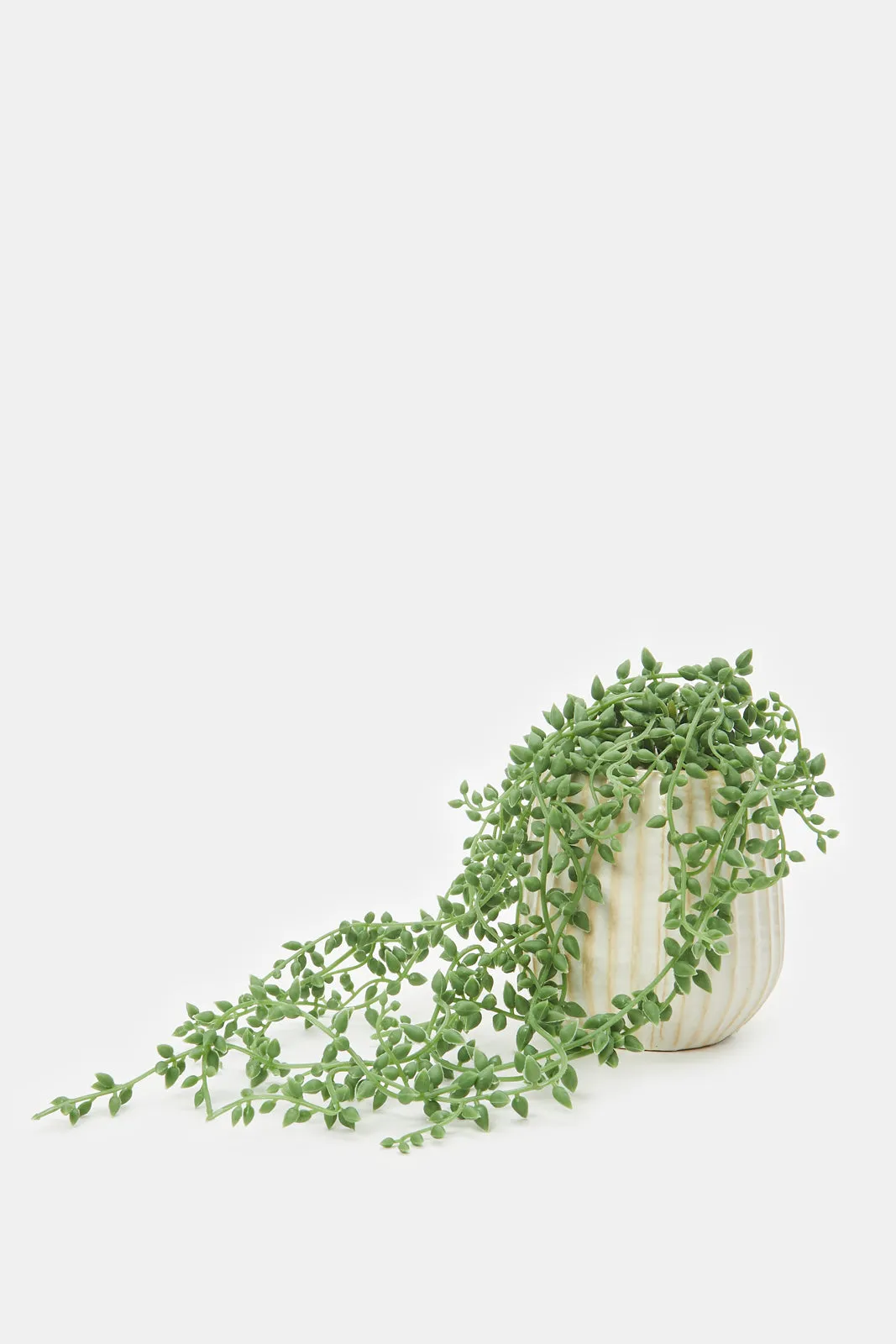 Artificial Green And White Plant In Ceramic Pot