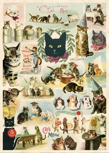  Cat Collage  Poster