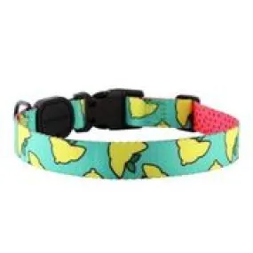 Sour Pawtches Premium Dog Collar