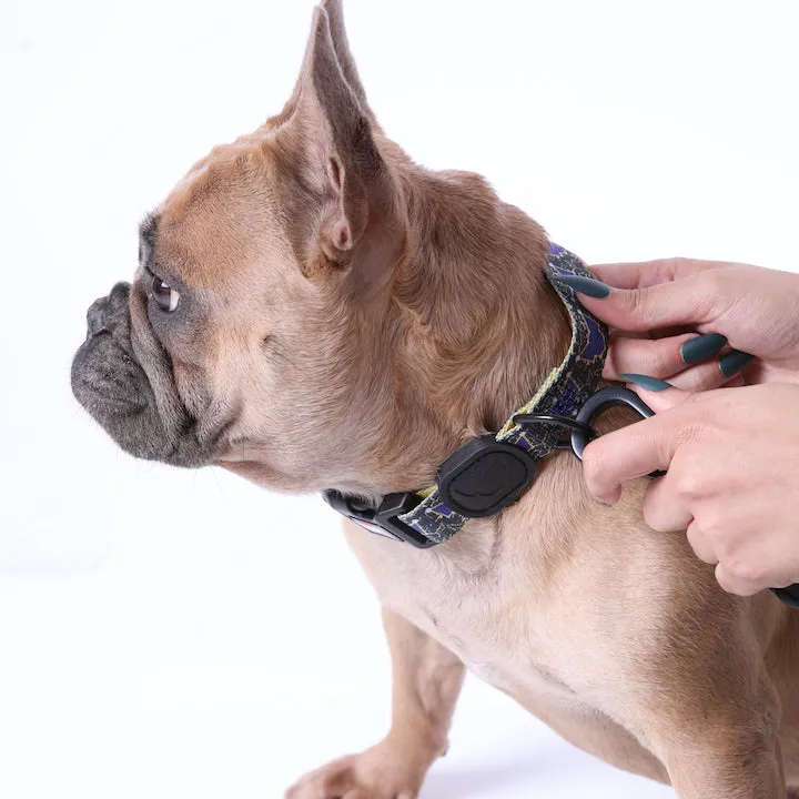 Universal Pawtelations Premium Dog Collar